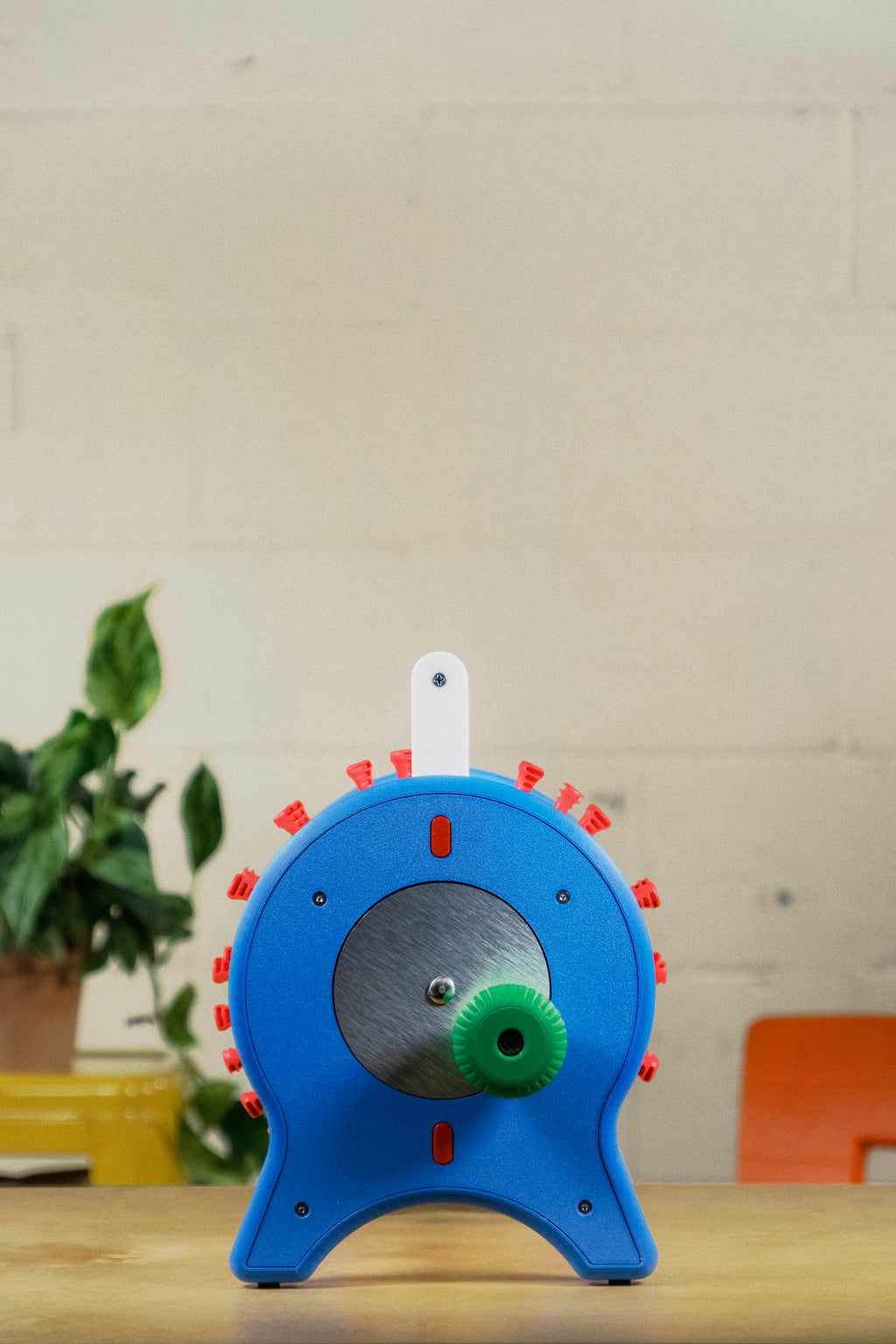 MACAW MUSIC BOX